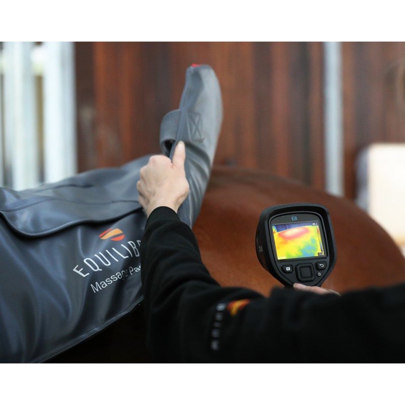 Equilibrium Massage Pad Heatsense - Standard/XL-10